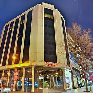 Hotel Grand Madrid